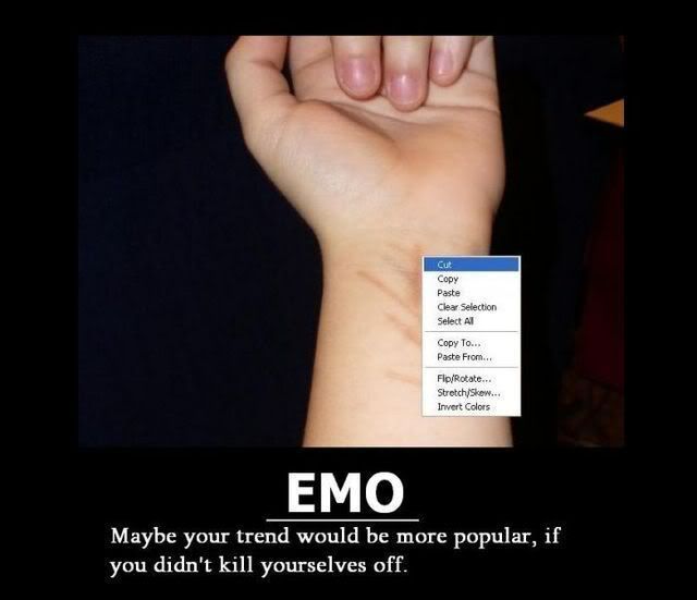 Forum Image: http://i688.photobucket.com/albums/vv241/Deadwinds/Motivational%20Posters/emo.jpg