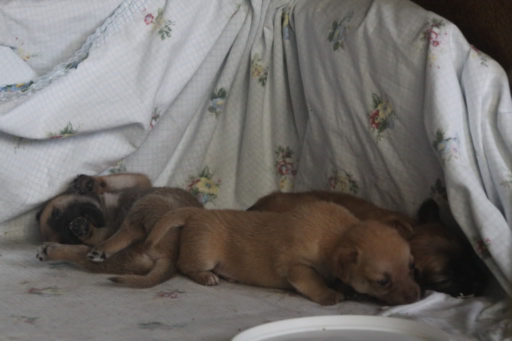 IMAGE: http://i688.photobucket.com/albums/vv242/lespaulowner/IMG_5609.jpg