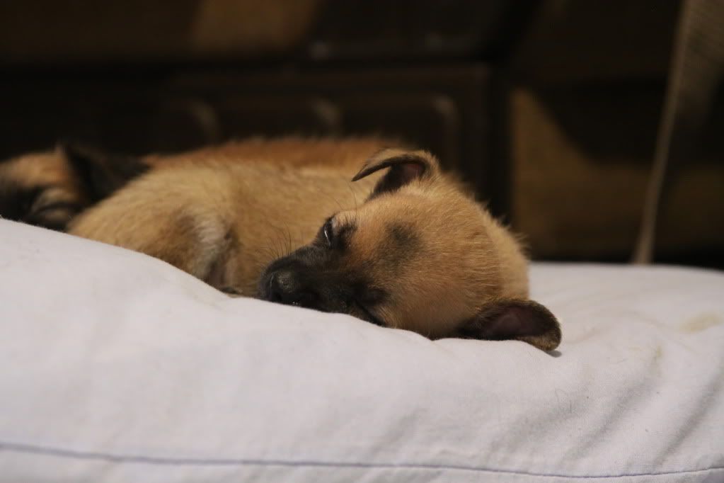 IMAGE: http://i688.photobucket.com/albums/vv242/lespaulowner/IMG_6425.jpg