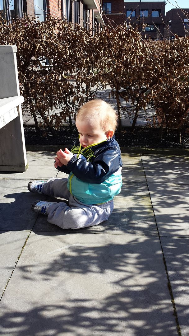 20150311_144757_zpskqbm6t85.jpg