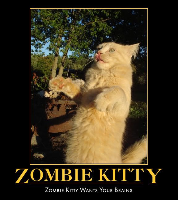 Zombie Kitty Pictures, Images and Photos