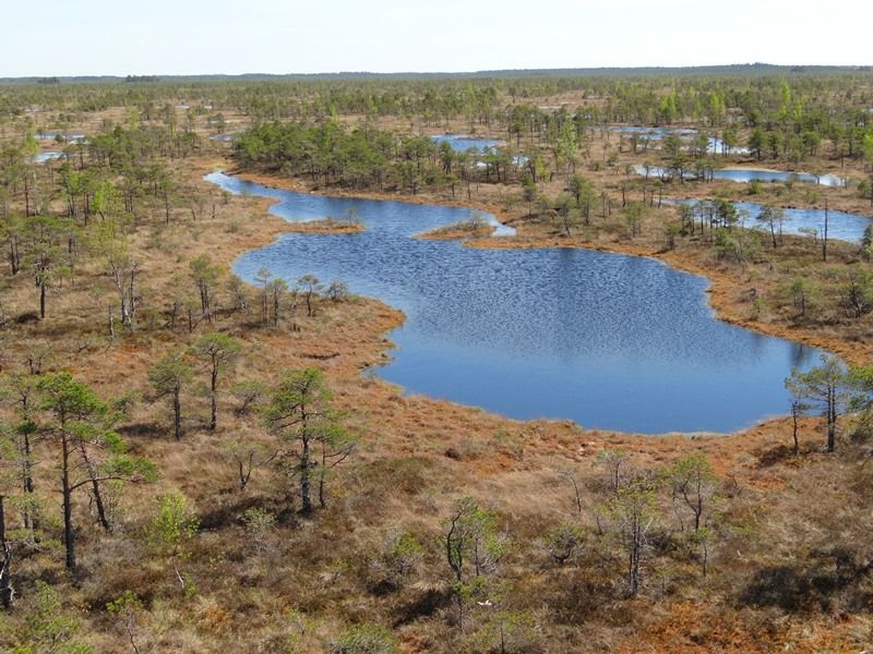 vartotojo kelta nuotrauka