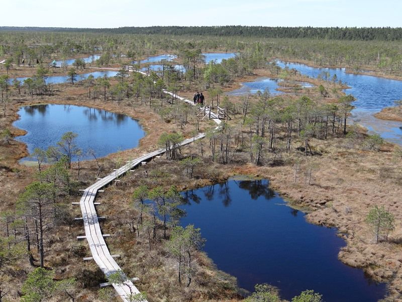 vartotojo kelta nuotrauka