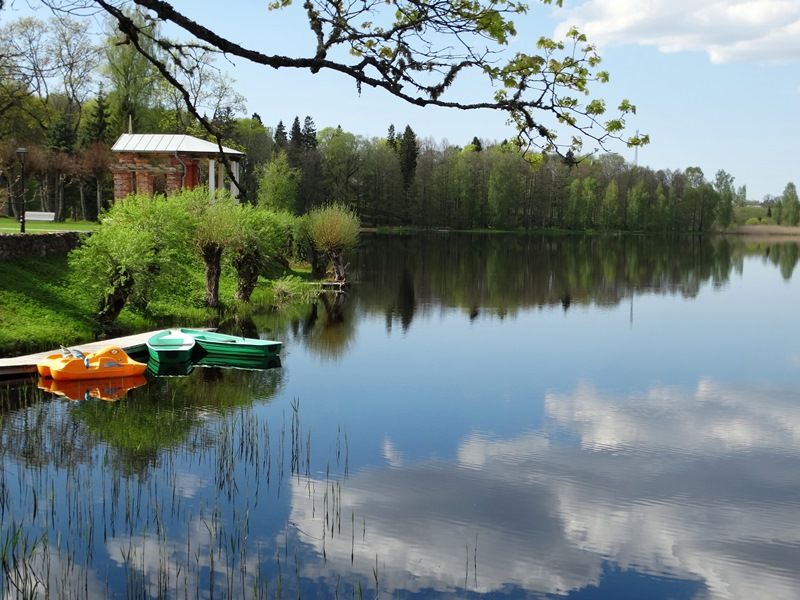 vartotojo kelta nuotrauka