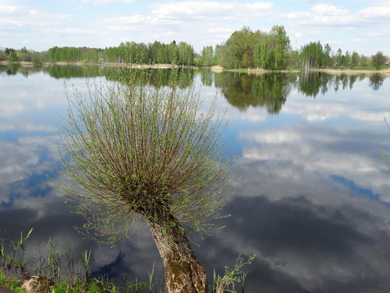 vartotojo kelta nuotrauka