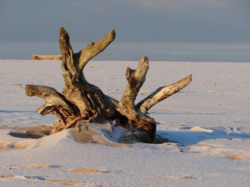 vartotojo kelta nuotrauka