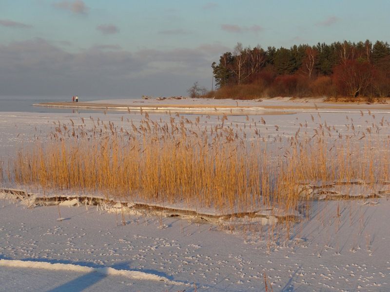 vartotojo kelta nuotrauka