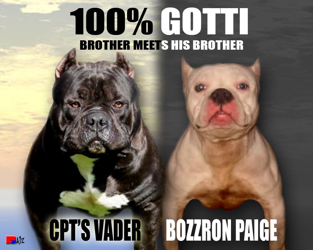 CPT'S VADER = GOTTYLINE'S CPT'S VADER = GOTTYLINE'S
