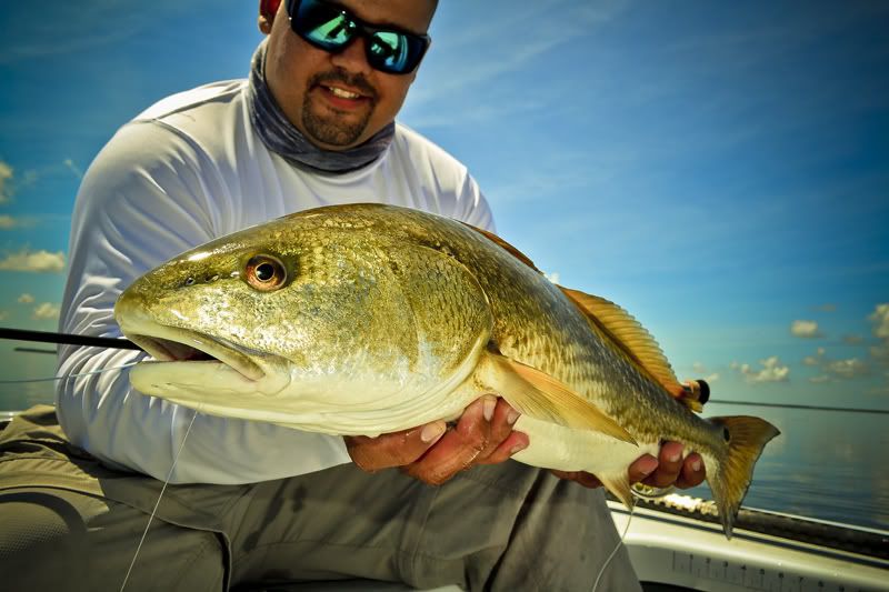 Fly Fishing South Florida Reds/Peas Dedicated To The Smallest Of Skiffs