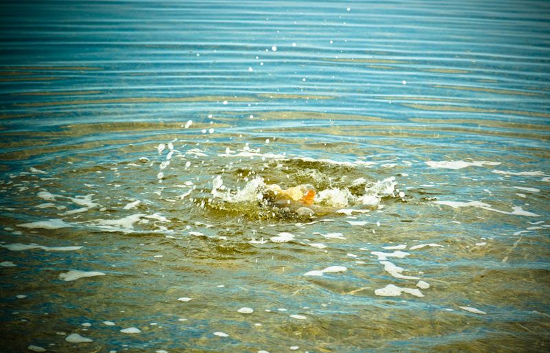 DSC_0188copy_zps6fed295a.jpg