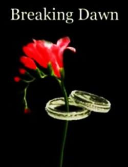 Breaking Dawn not official8