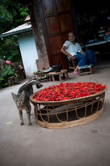 Laos