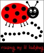 Lil Ladybug
