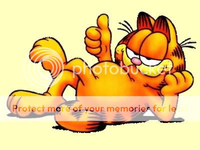 Garfield The Cat   GARFIELD   THE MOVIE Plush Toy Jim Davis (s22)