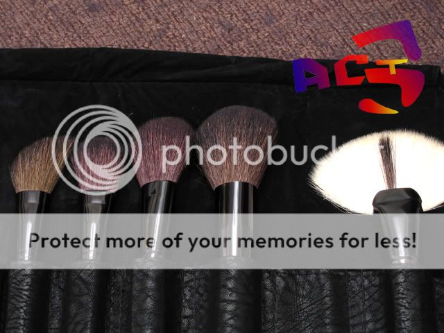 25 pcs MakeUp Brushes   Professional Brush Set